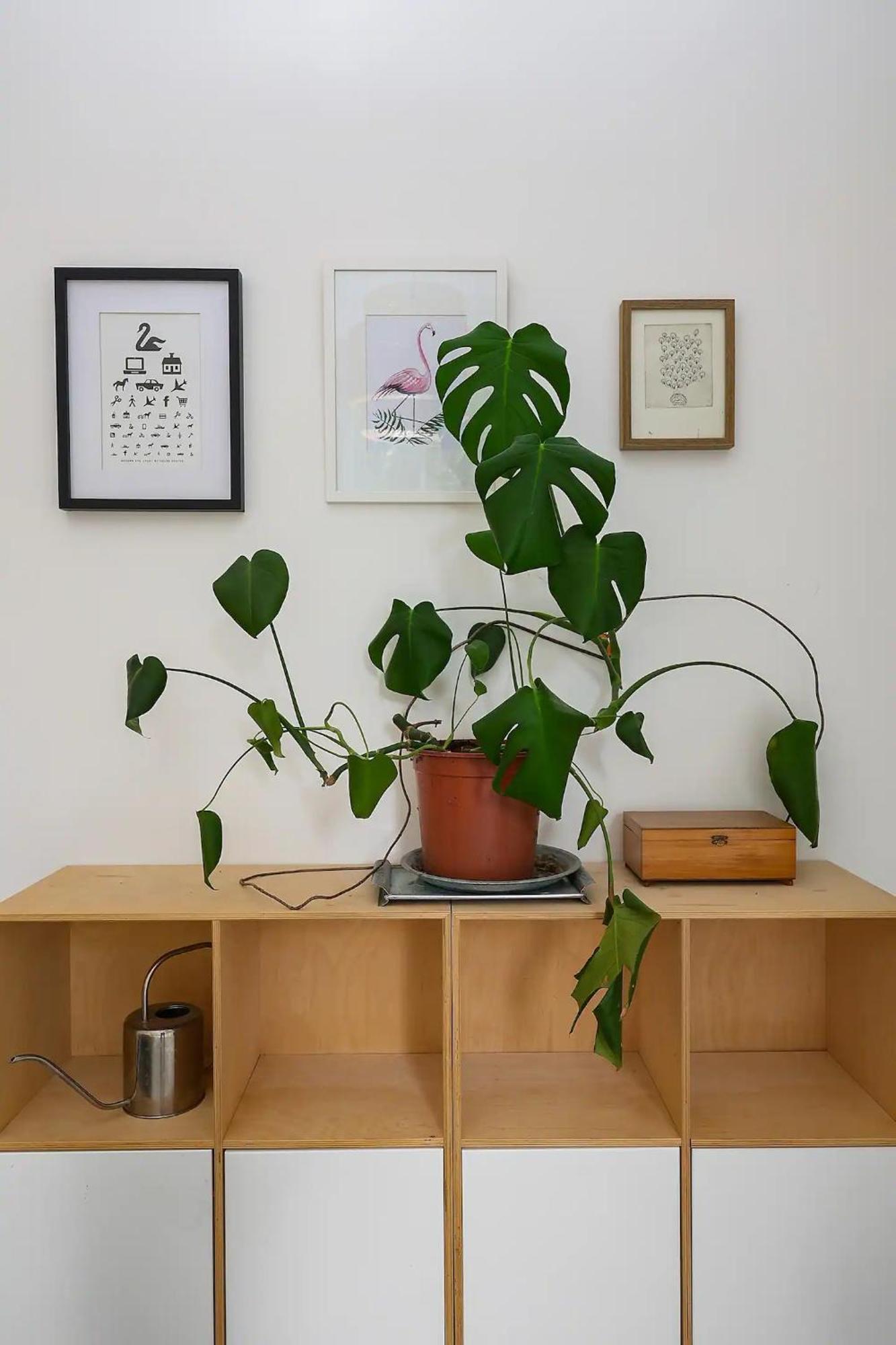 Pass The Keys Centrally Located Stylish Flat Appartamento *