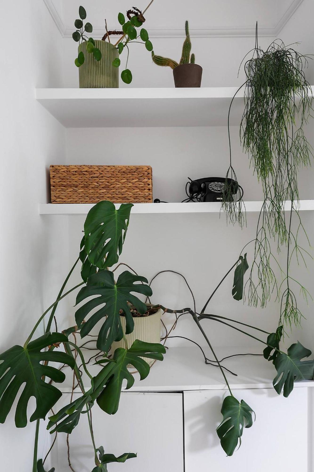 Pass The Keys Centrally Located Stylish Flat